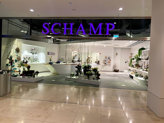 blumenhaus-schamp